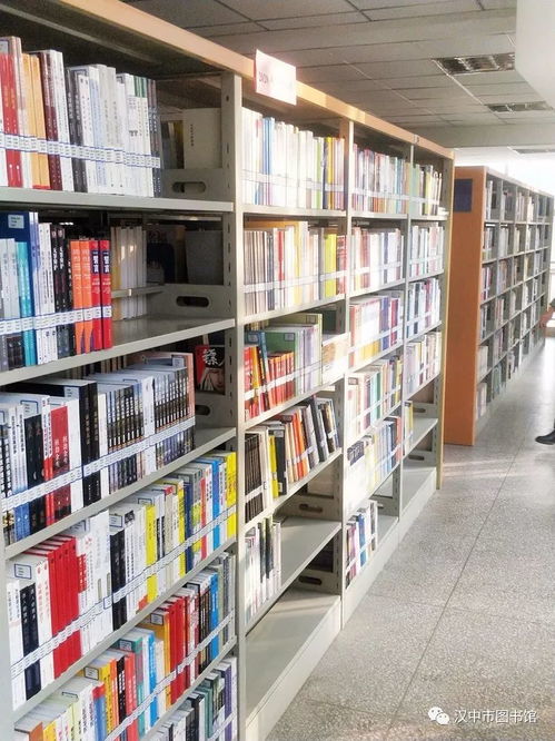 漢中市圖書館新年新增圖書報(bào)刊 豐富讀者閱讀選擇